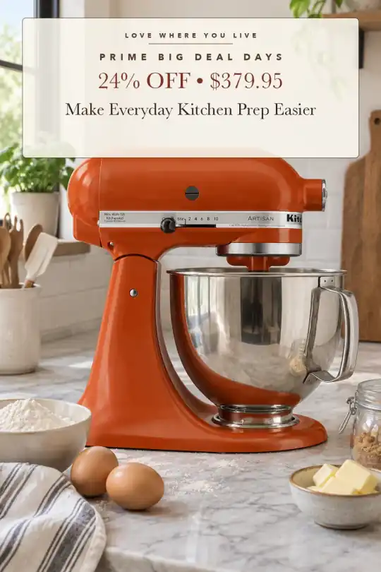 five-quart stand mixer; styling illustration