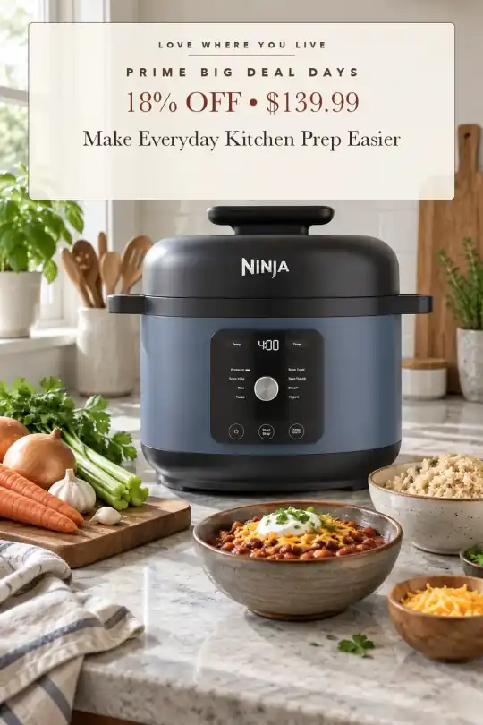 nine-in-one pressure cooker; styling illustration