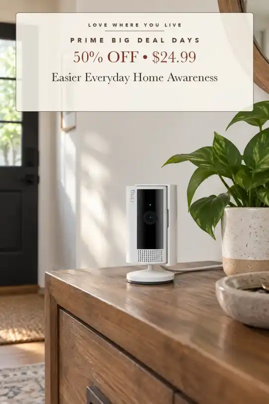 indoor security camera; styling illustration