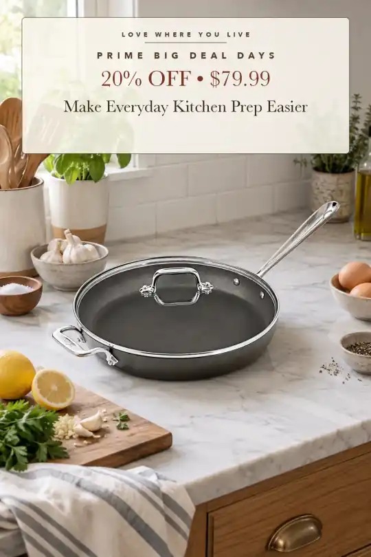 12-inch fry pan with lid; styling illustration