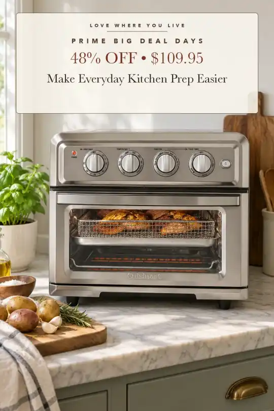 seven-in-one air fryer oven; styling illustration