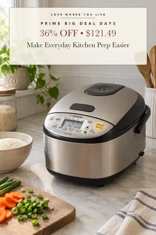 compact rice cooker; styling illustration