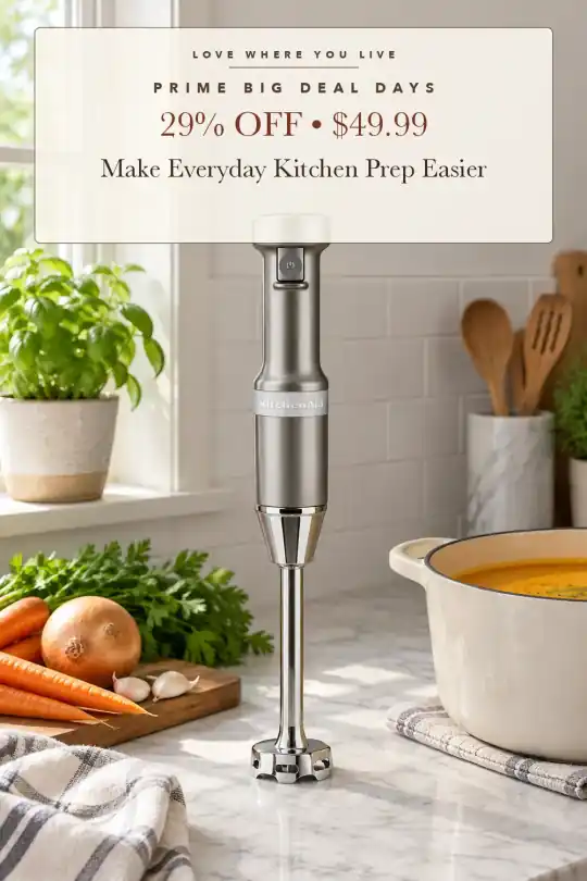 silver hand blender; styling illustration