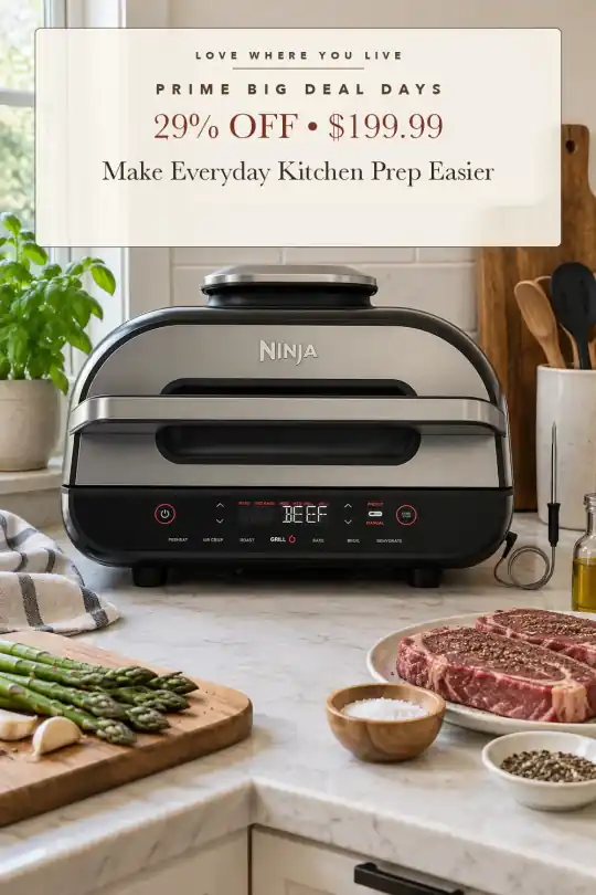 indoor grill and air fryer; styling illustration