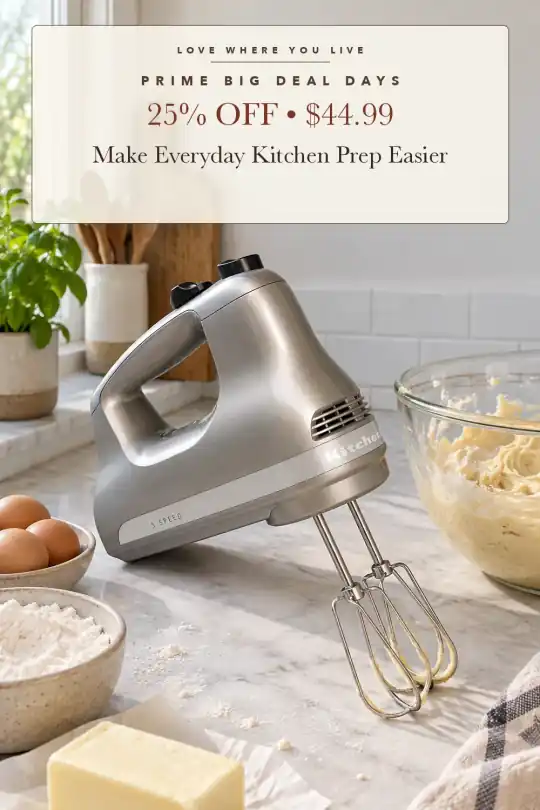 silver hand mixer; styling illustration