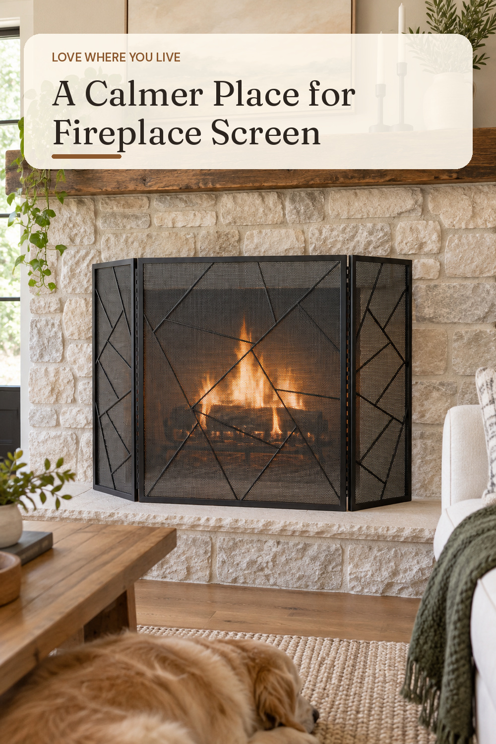 A fireplace screen used in a real living-room hearth with natural window light and practical everyday styling.