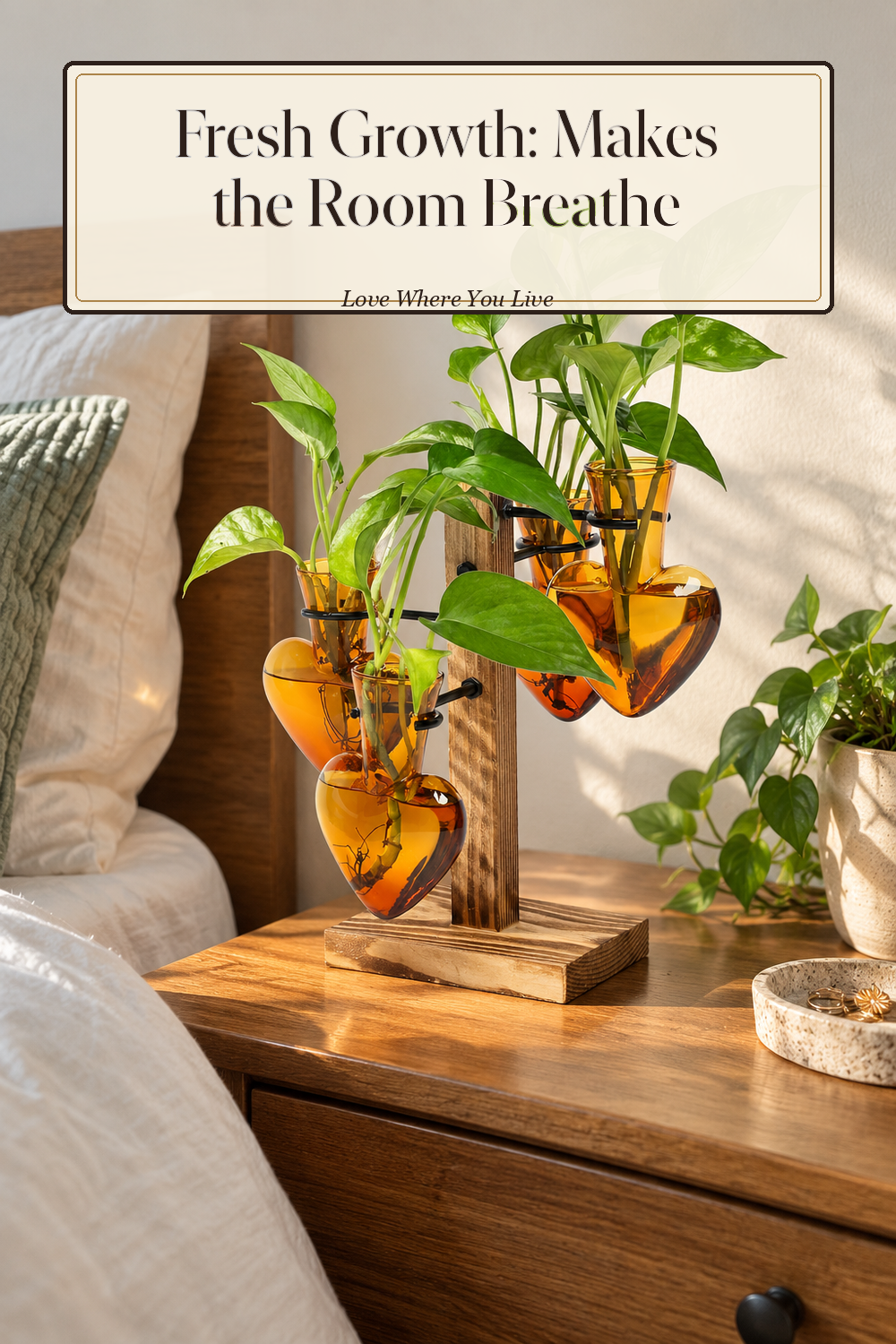 A realistic propagation vase in use in a naturally lit bedroom, photographed in a believable lived-in home.