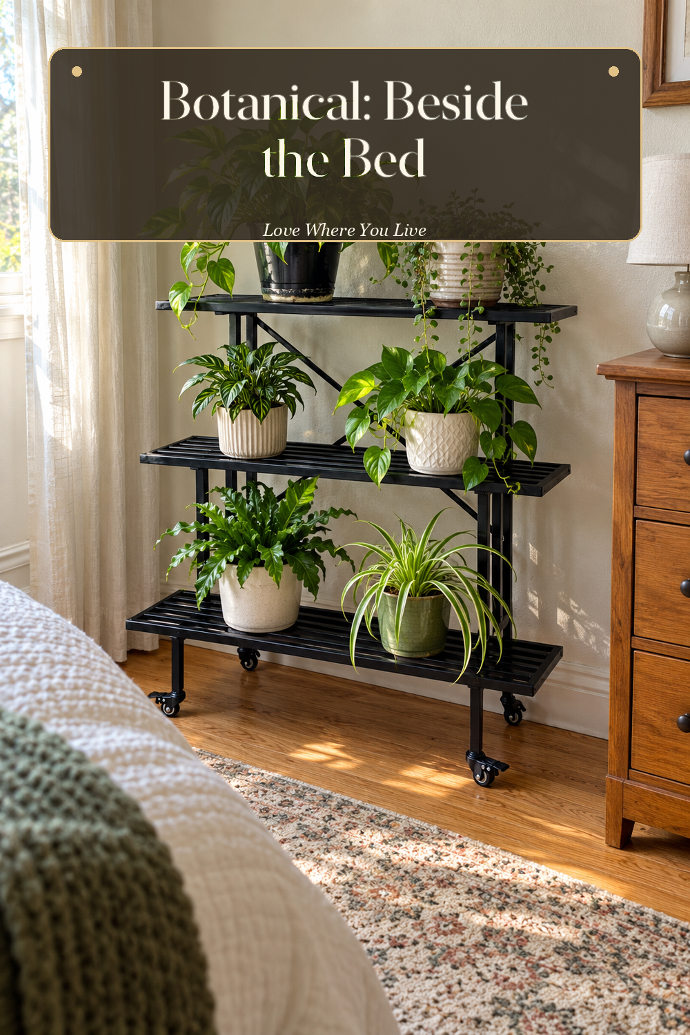 A realistic plant stand in use in a naturally lit bedroom, photographed in a believable lived-in home.