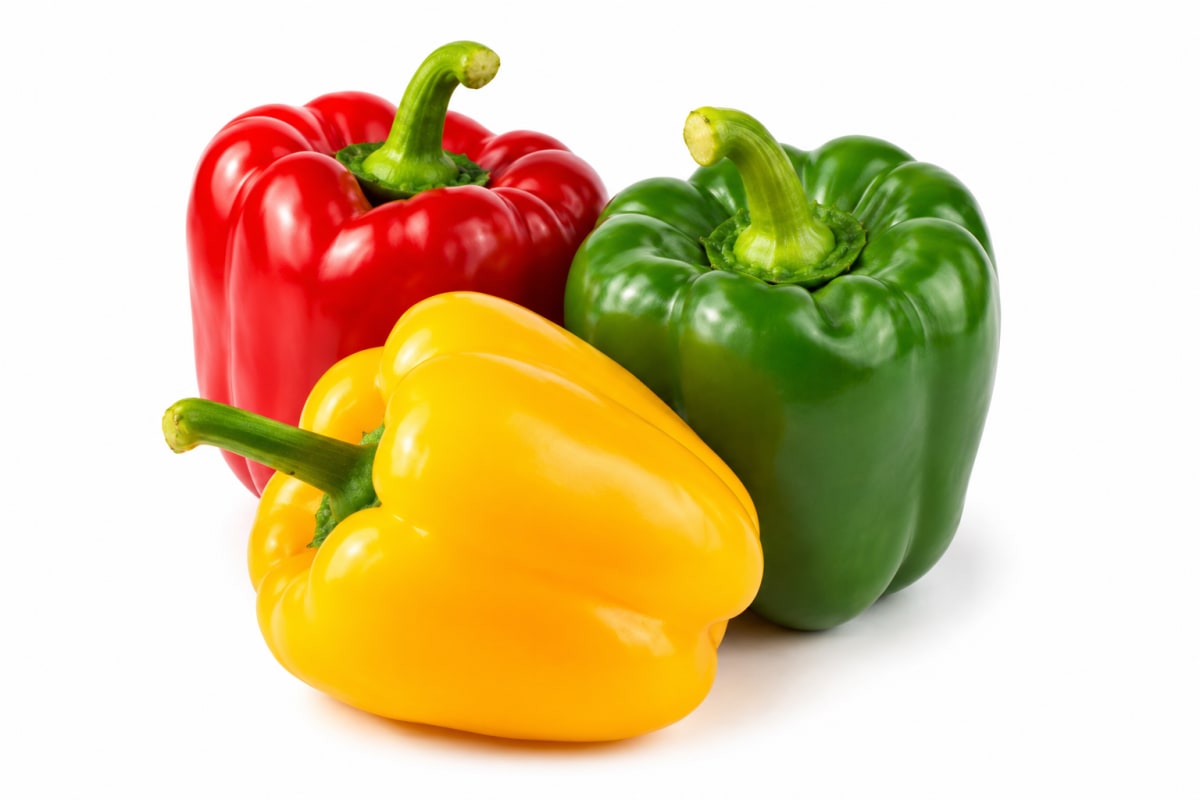 Capsicum