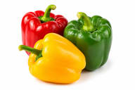 Capsicum