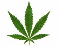 Medicinal Cannabis