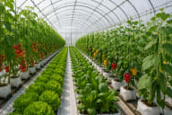 Protected Crops