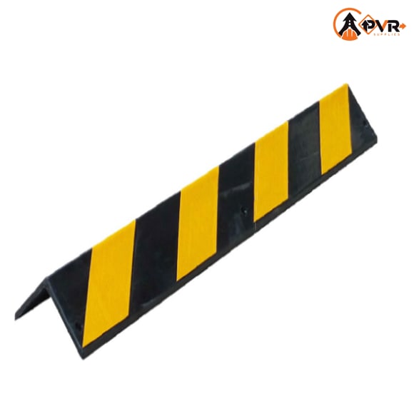 BUILDING PROTECTION cover image