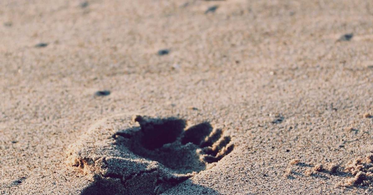 Mastering Observability: Building Resilient Node.js Applications with Tracing, Metrics, and Logging