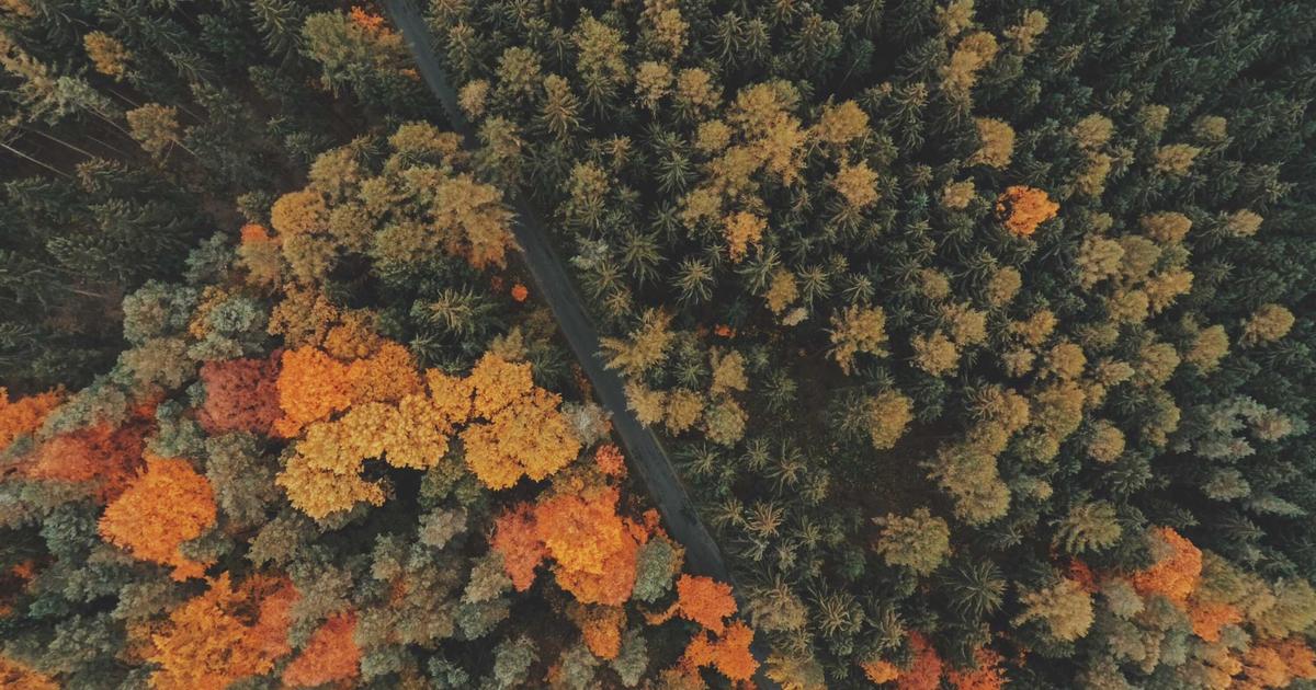 Ensuring Data Consistency in Distributed Node.js Systems: Strategies and Patterns