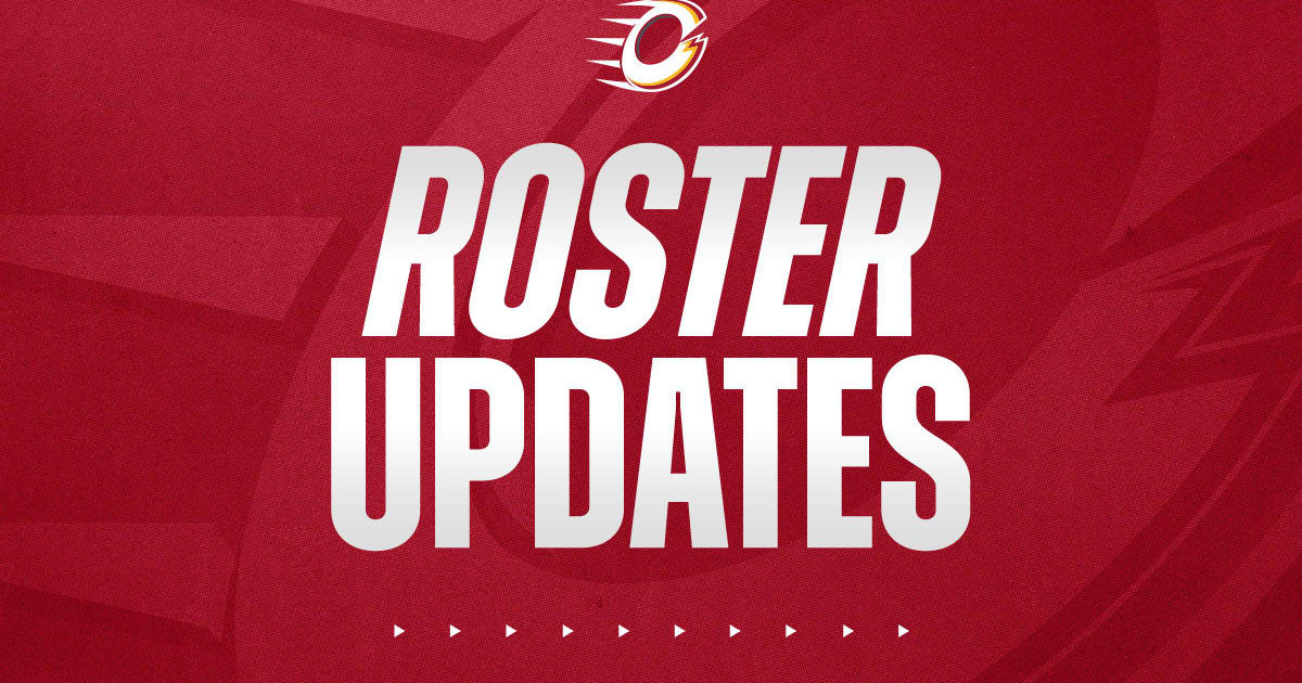 OTTAWA CHARGE ANNOUNCE TRAINING CAMP ROSTER UPDATES | PWHL ...