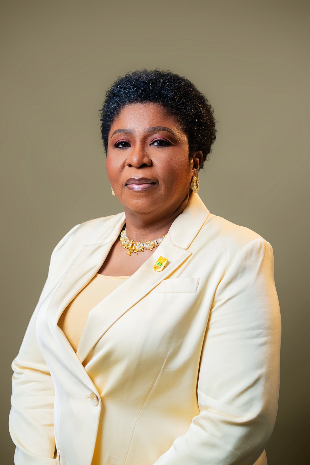 Mrs. Didi Walson-Jack at a public engagement