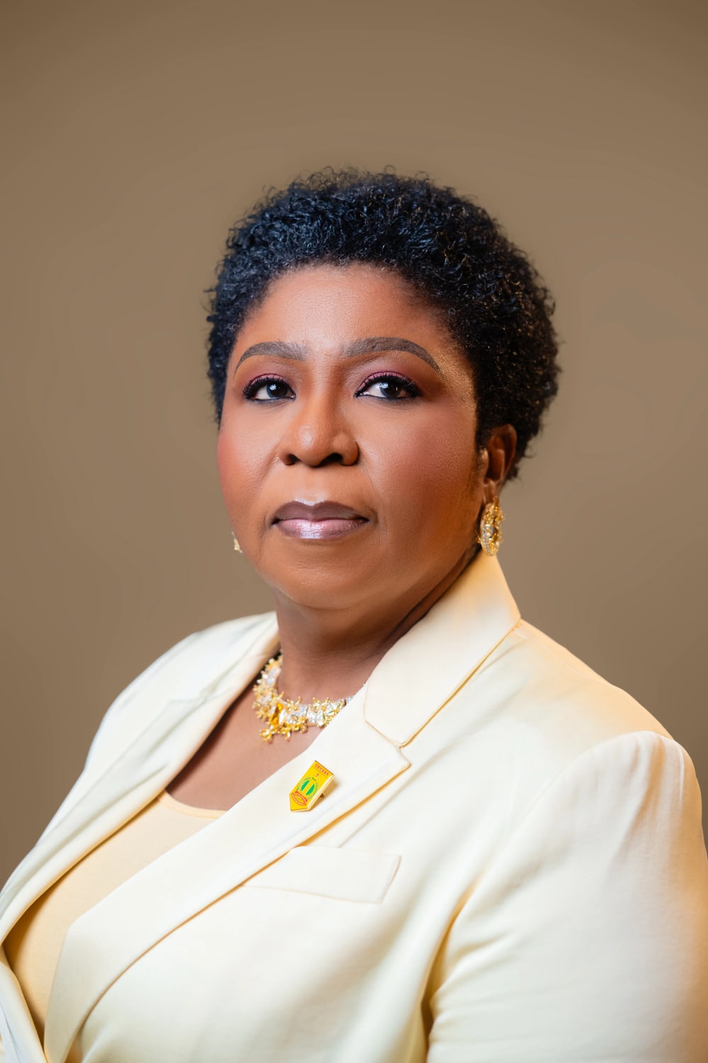 Mrs. Didi Walson-Jack at a public engagement