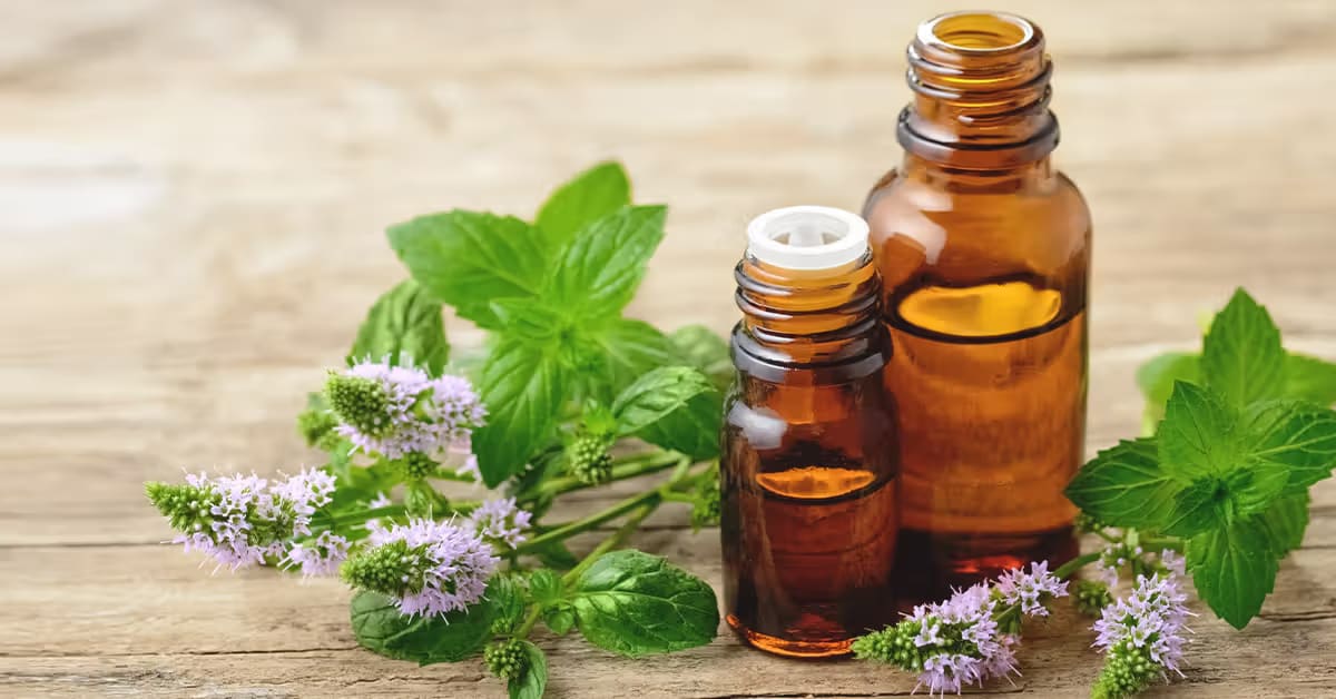 Peppermint Oil in Cerium Chemicals packaging