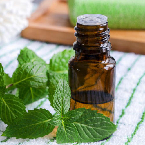 Mint Oil in Cerium Chemicals packaging