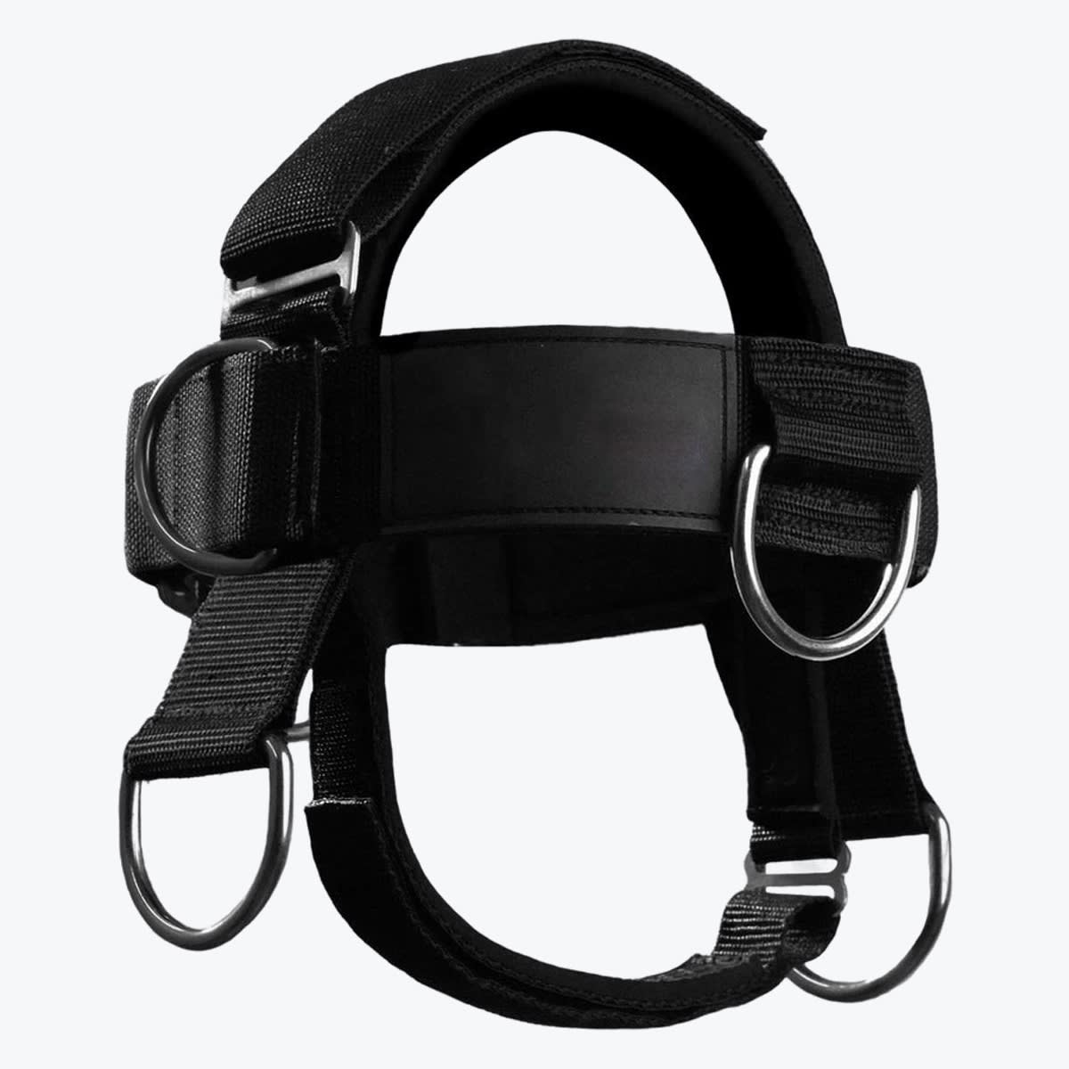 Black Neck Harness for Strength Training A black neck harness with adjustable straps and metal D-rings, shown against a plain white background.