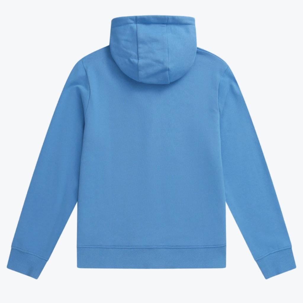 Back view of a plain light blue hoodie with long sleeves and a hood, displayed against a white background.