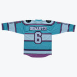 The back of a turquoise and purple striped hockey jersey with the name DESANTIS and the number 6 on the back.