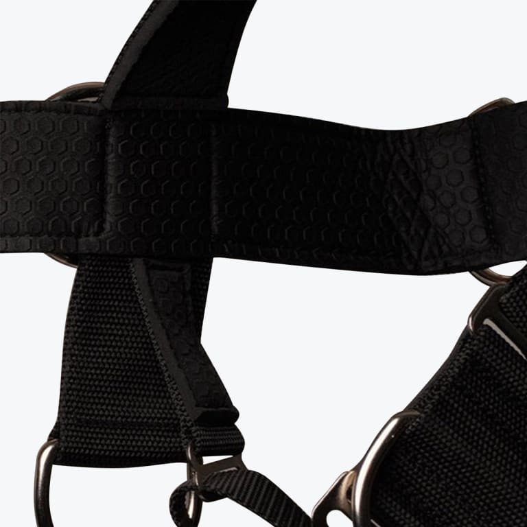 Close-up view of a black harness showing honeycomb-patterned padding, nylon webbing, and metal rings.