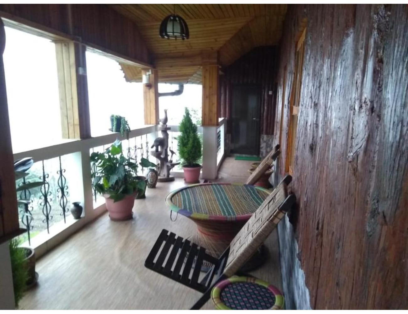 Photos
