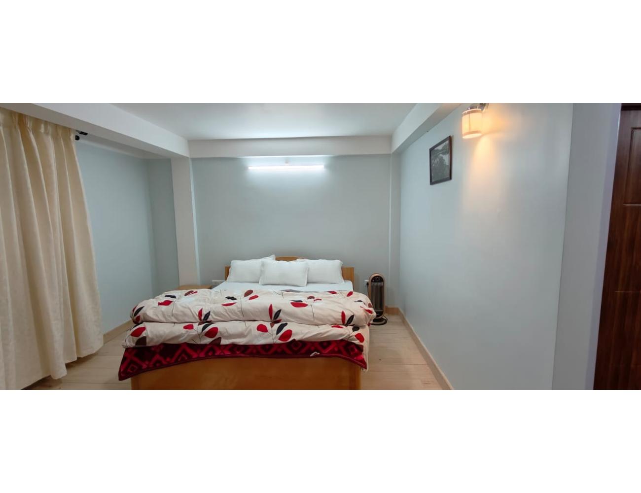 Photos