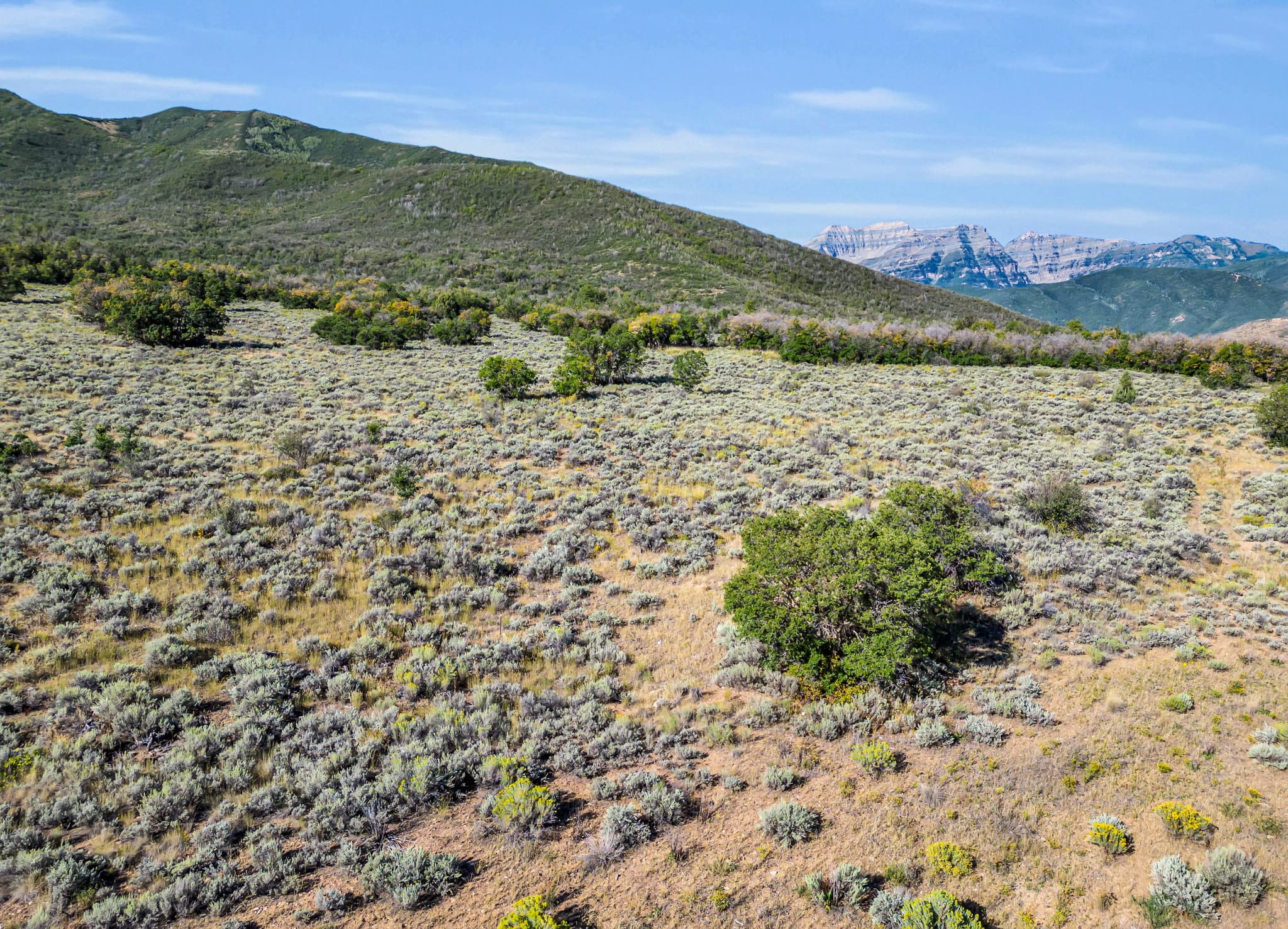 Wallsburg, Utah, United States Luxury Real Estate Property Engel