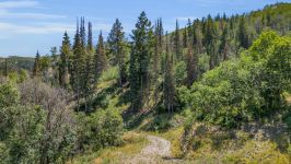 Park City, Utah, United States - Image 6