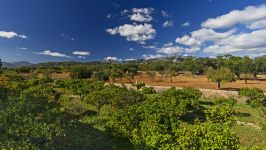 Bunyola, Spain - Image 12