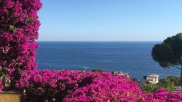 Bogliasco, Italy - Image 13