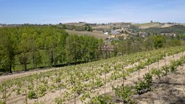 Nizza Monferrato, Italy - Image 8