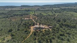 Manacor, Spain - Image 5