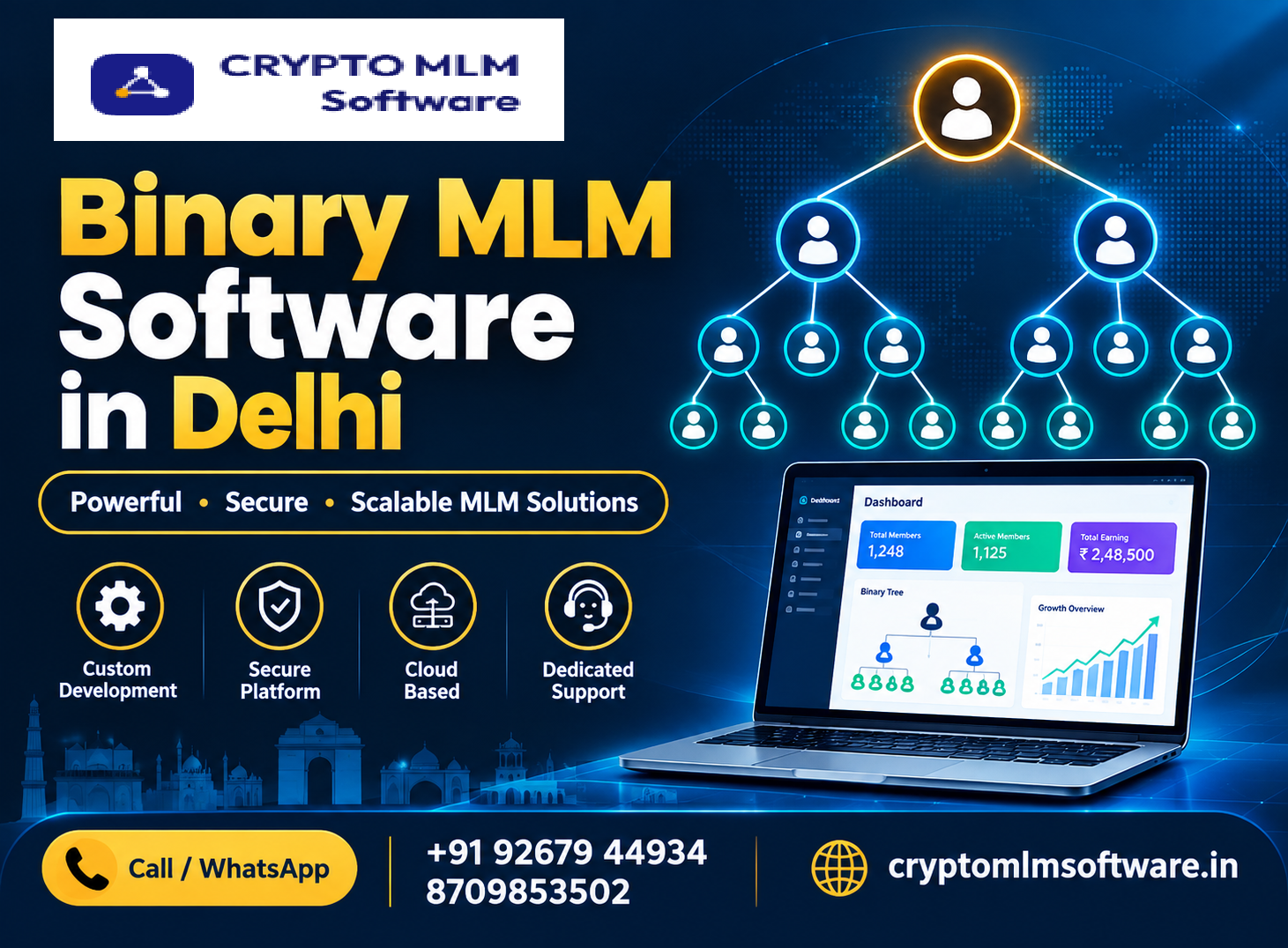 Binary MLM Software in Delhi
