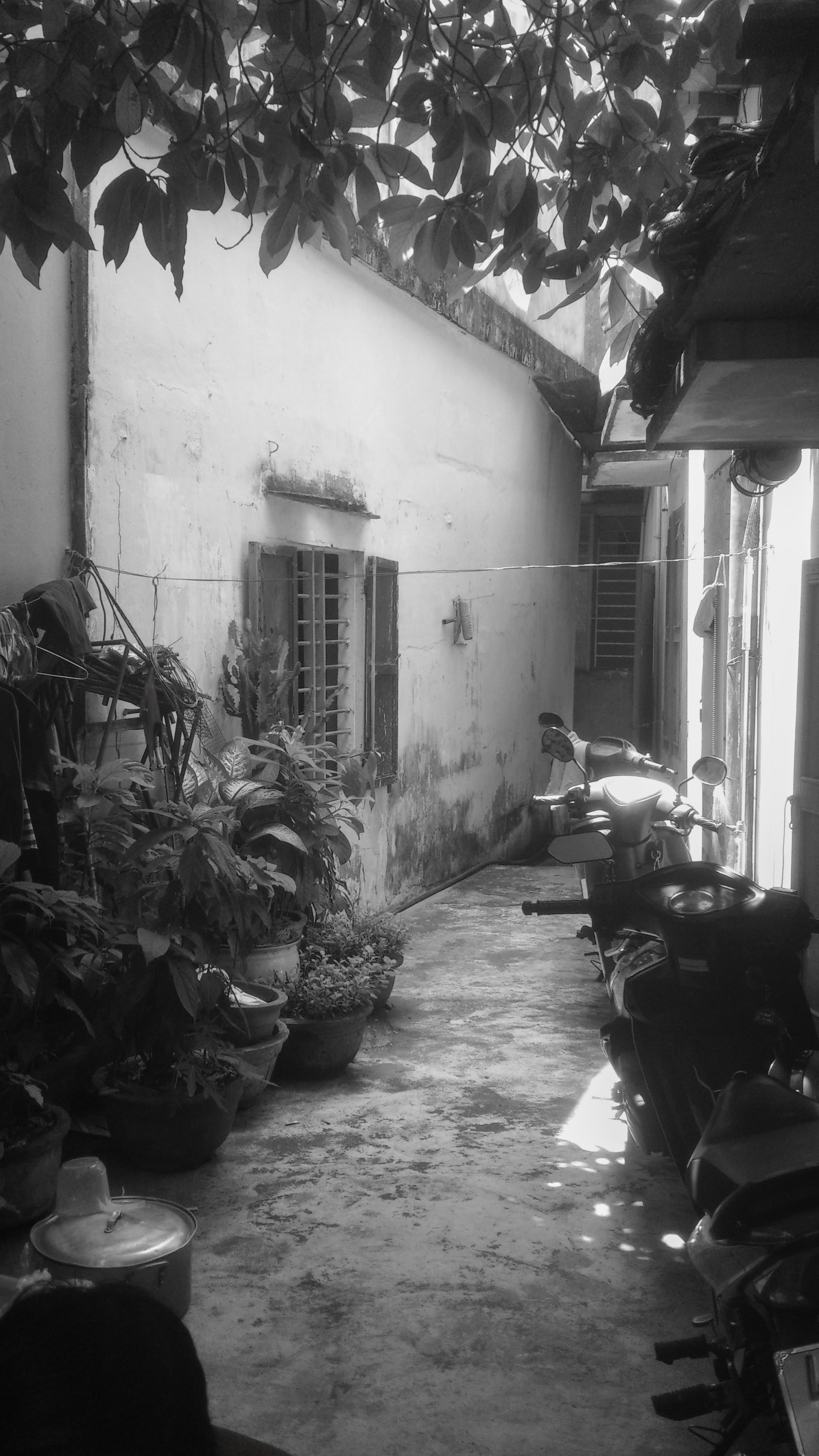 Before 2016, photo 4