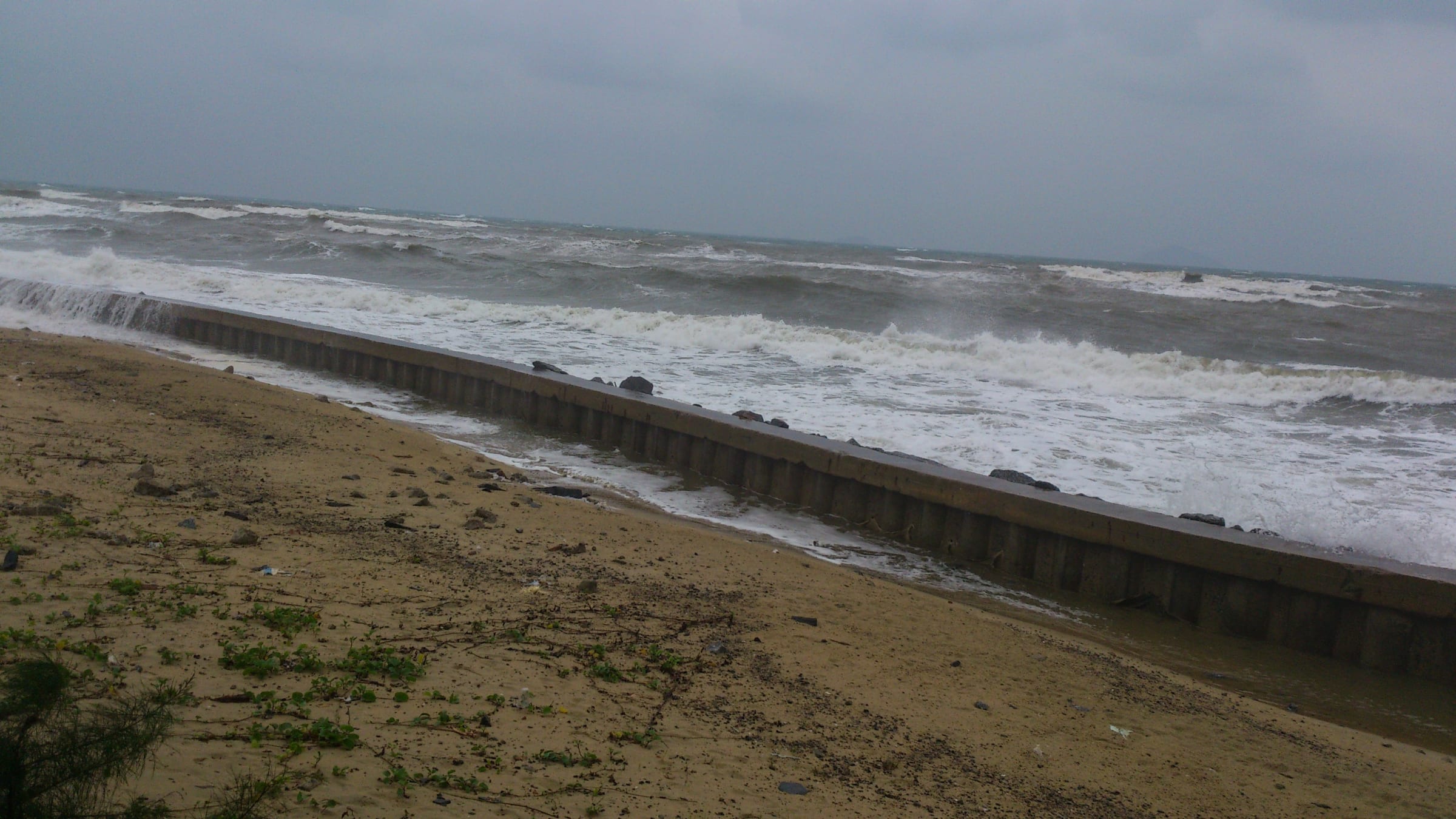 Before 2016, photo 10