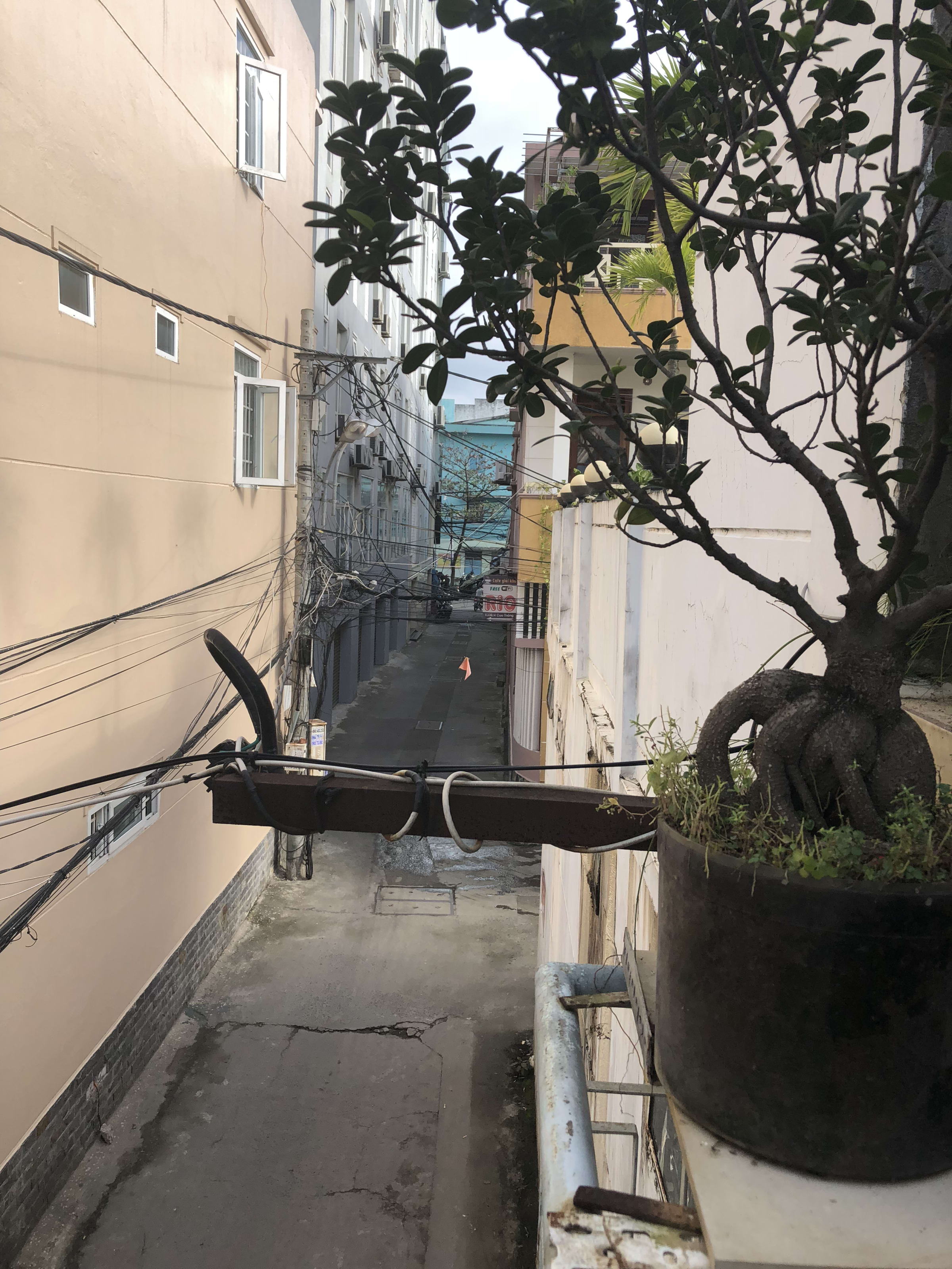 Đà Nẵng, photo 3