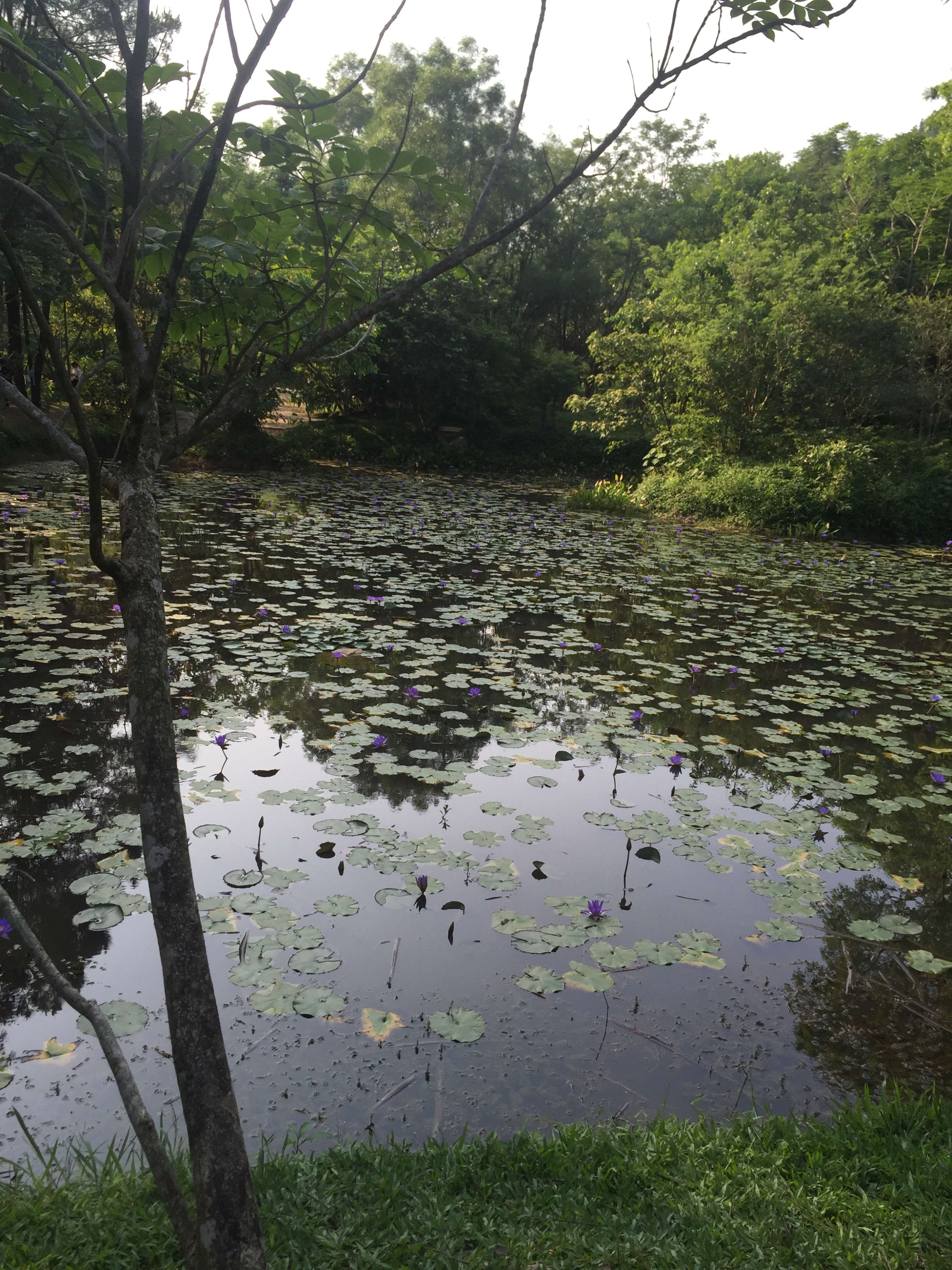 Huế, photo 3