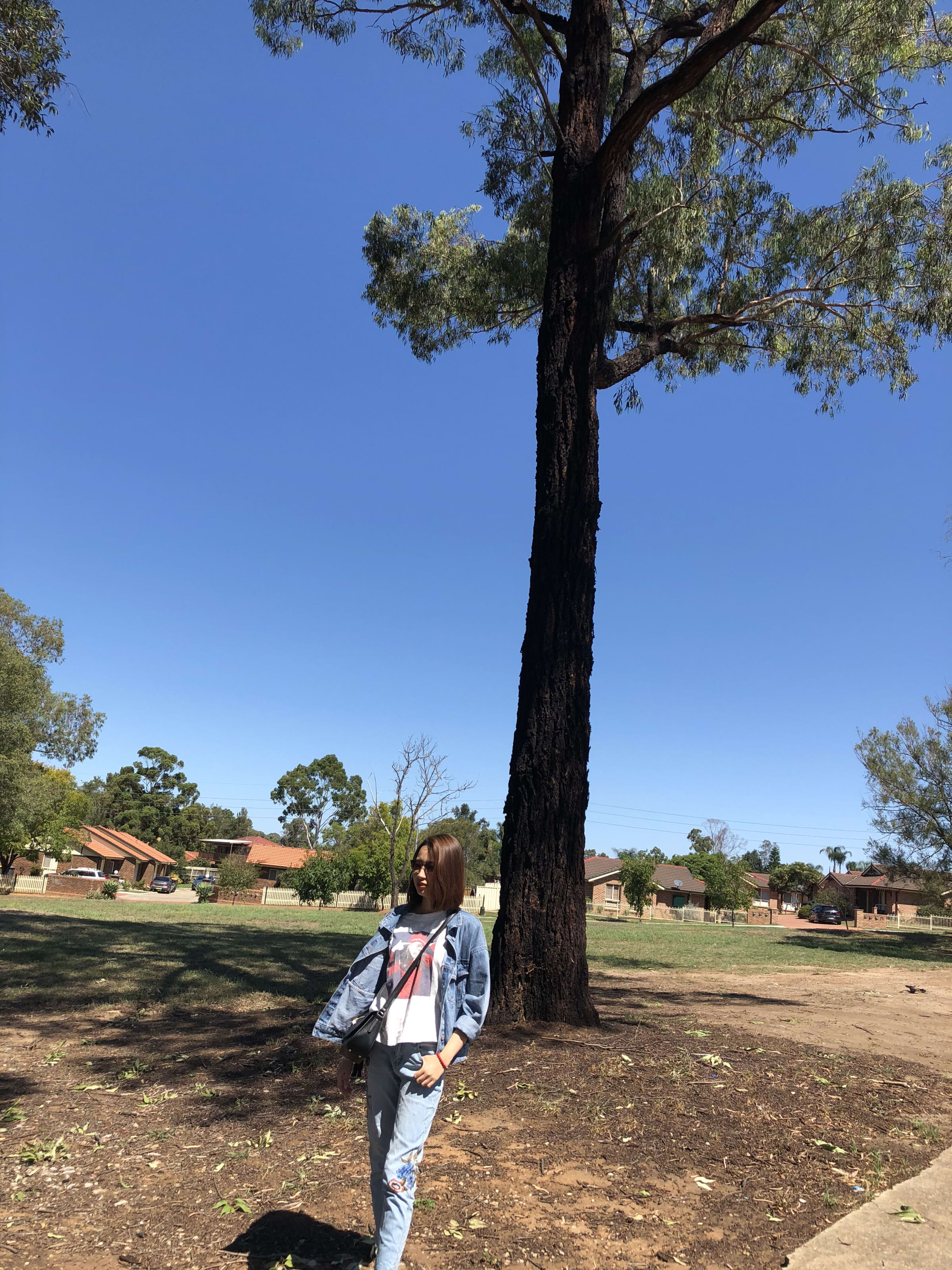 Sydney, photo 4