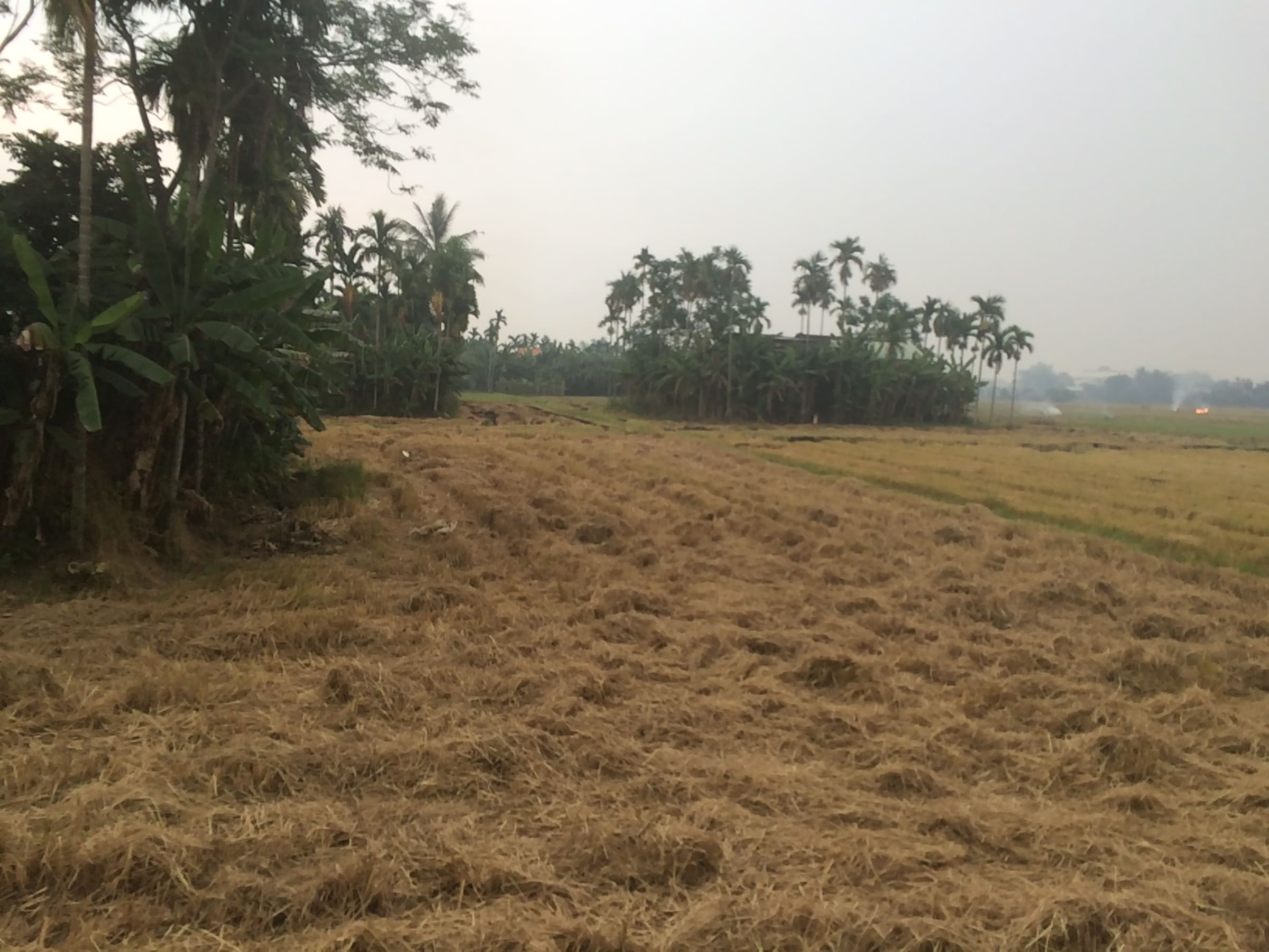 Đà Nẵng, photo 24
