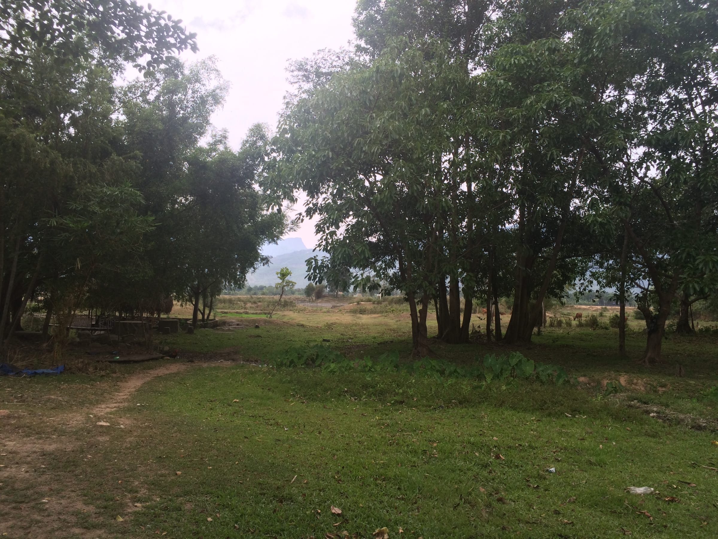 Quảng Nam, photo 2