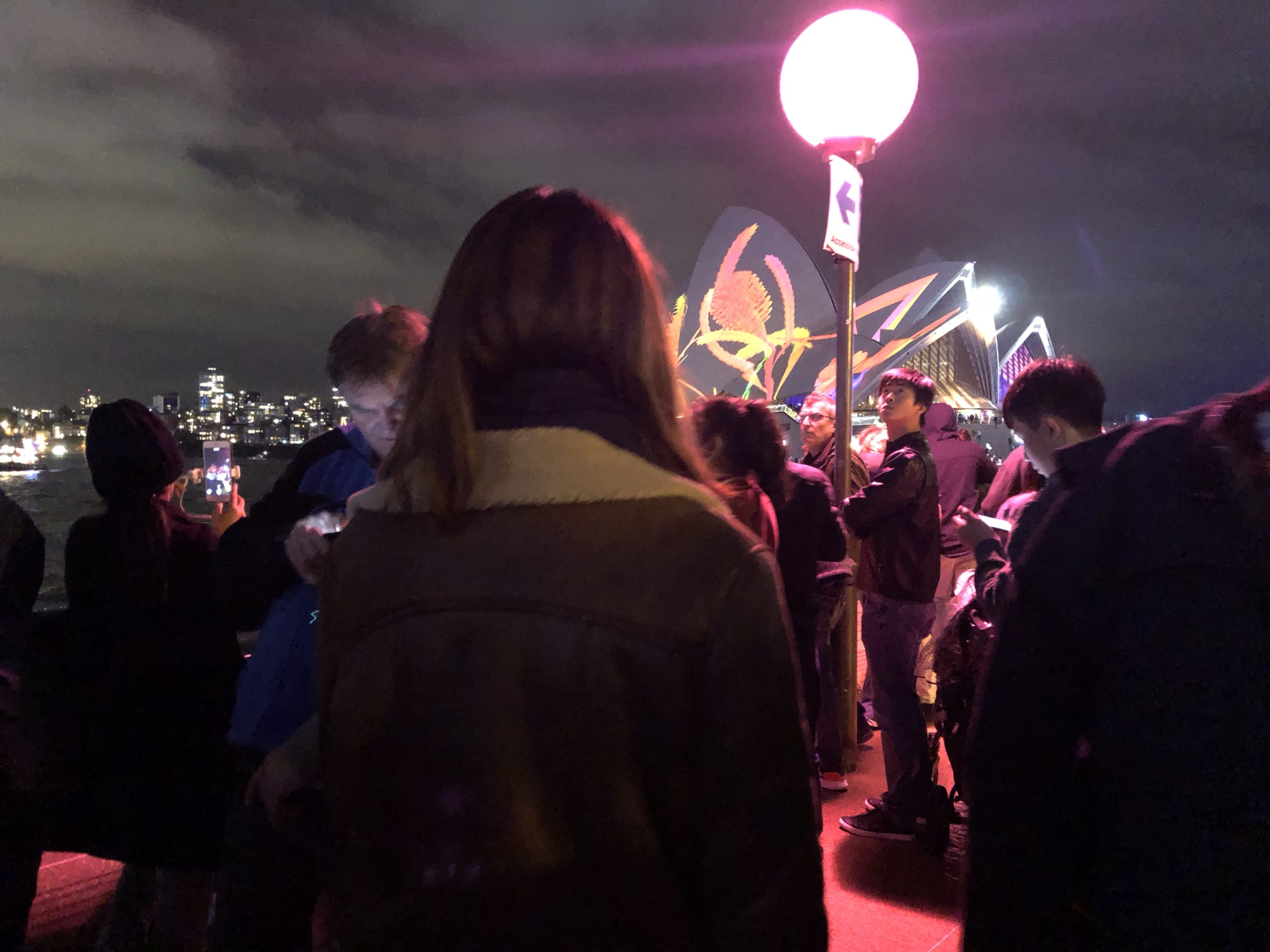 Vivid, photo 5