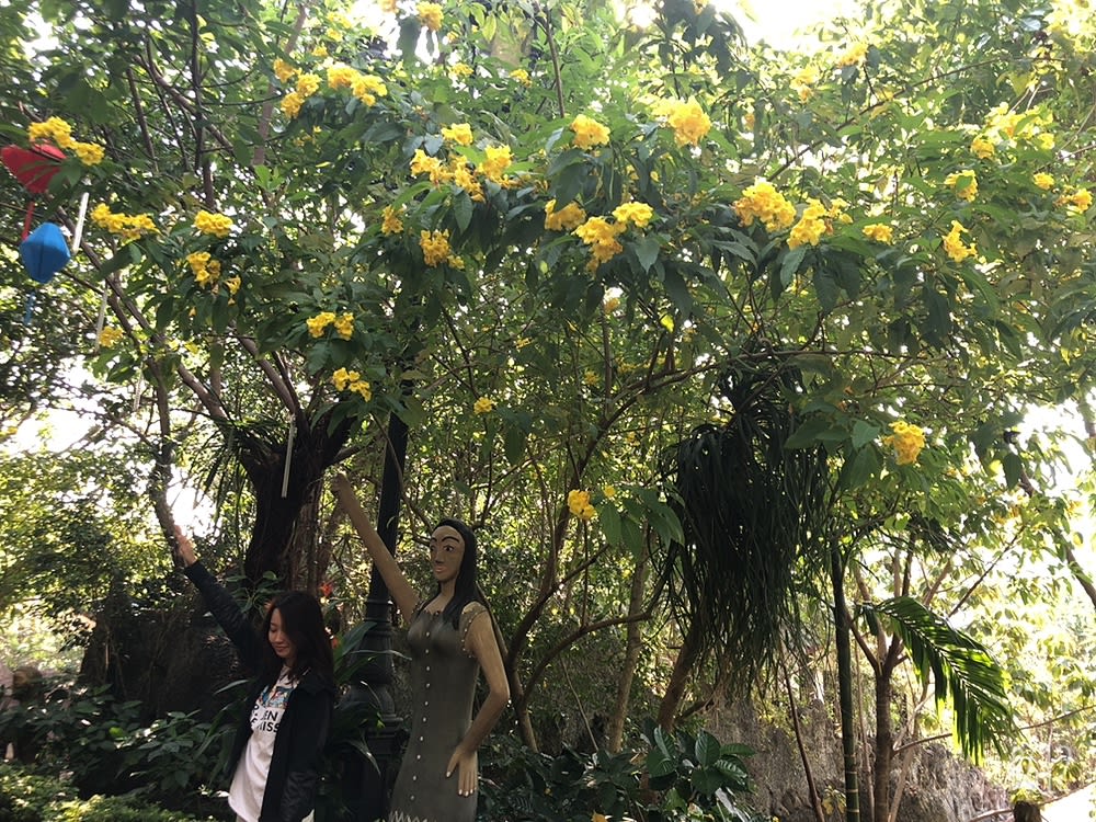 Núi Thần Tài, photo 3