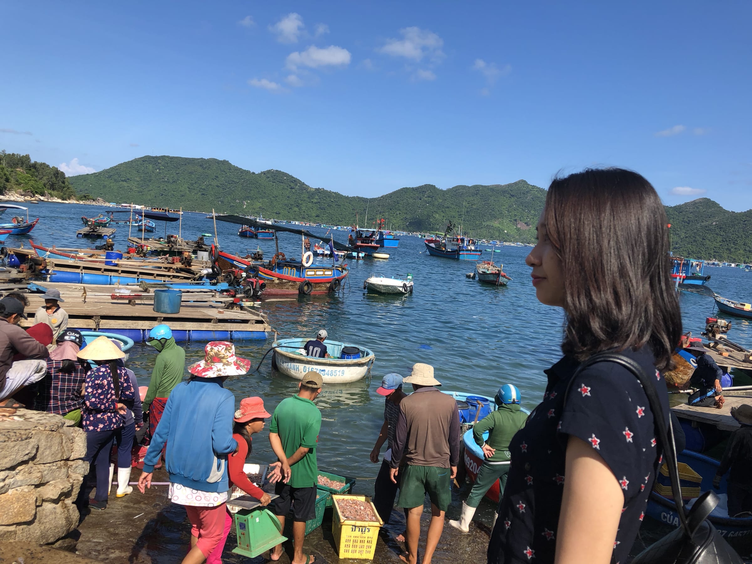 Hội An · Phú Yên · Đà Lạt, photo 7