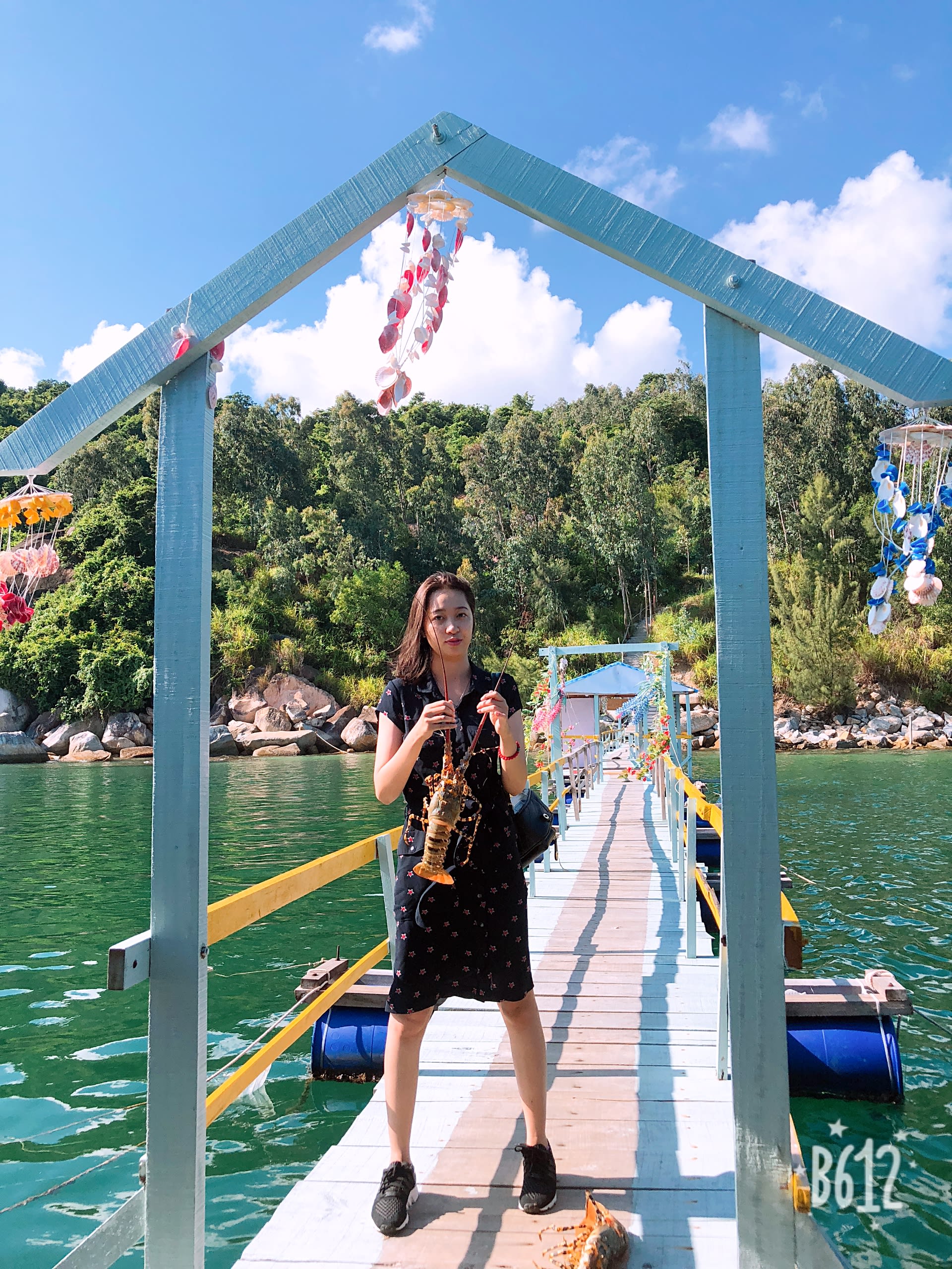 Hội An · Phú Yên · Đà Lạt, photo 9