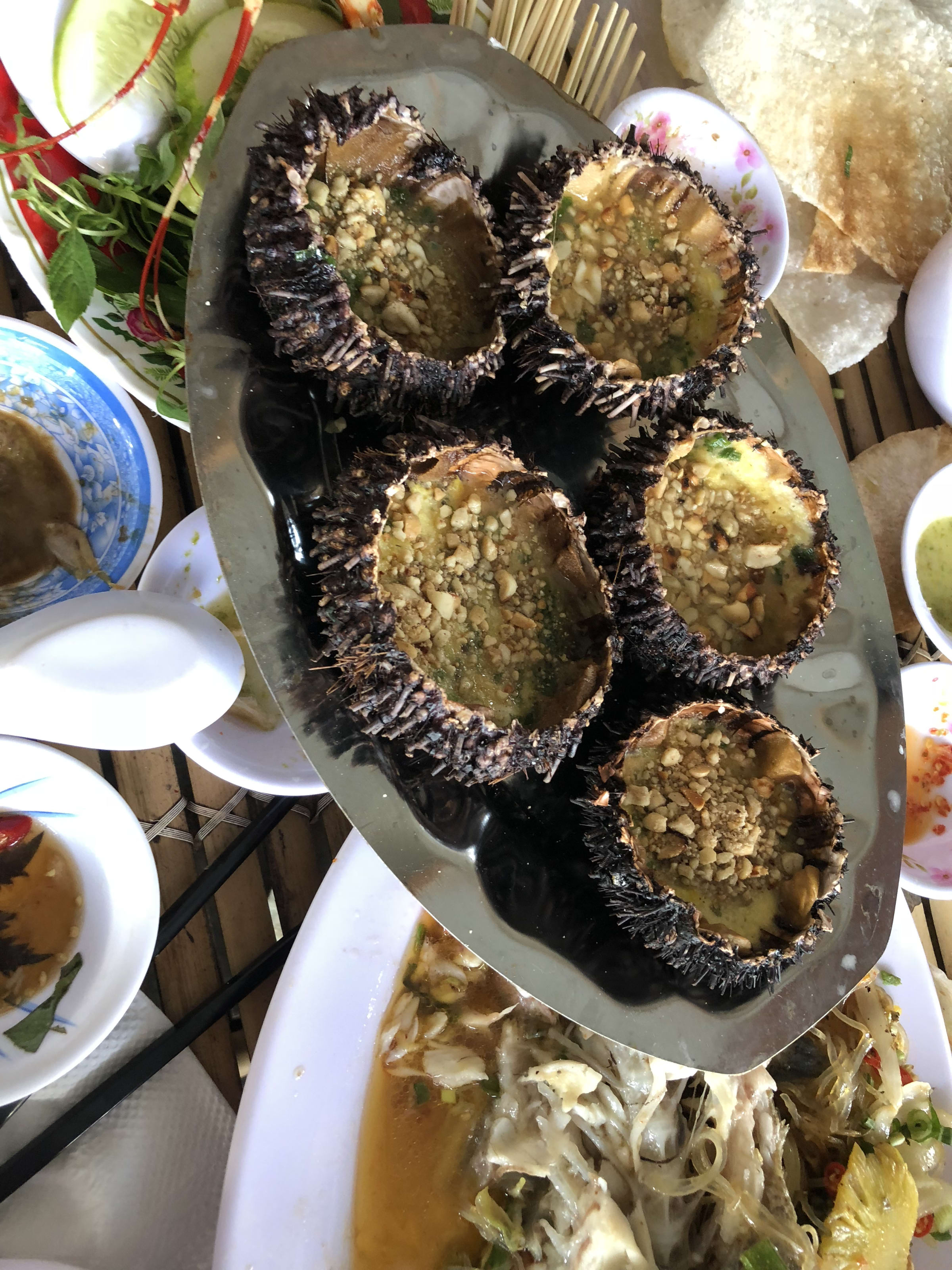 Hội An · Phú Yên · Đà Lạt, photo 10