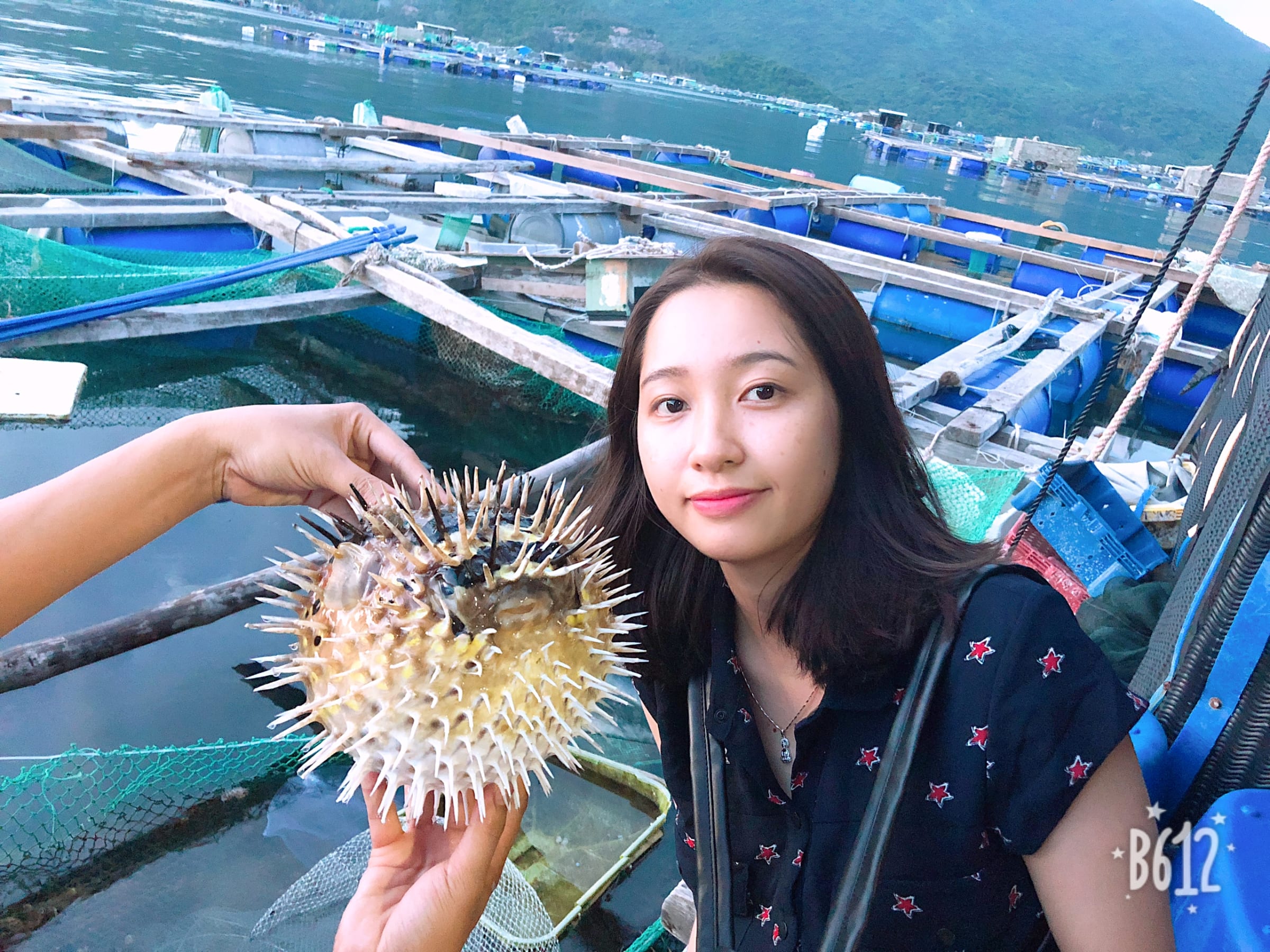 Hội An · Phú Yên · Đà Lạt, photo 11